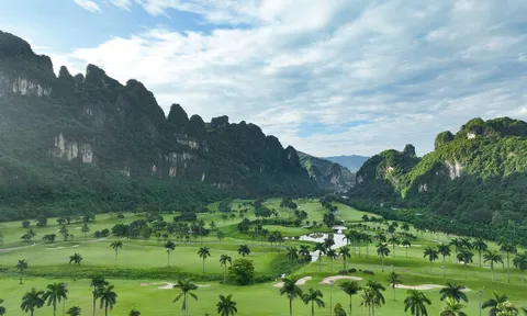 Nhiều golfer hàng đầu góp mặt tại Phoenix Reborn Golf Tournament 2026