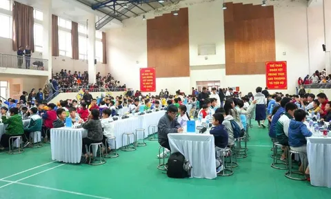 330 vận động viên tranh tài Giải cờ Vua Sơn Tây mở rộng 2026 