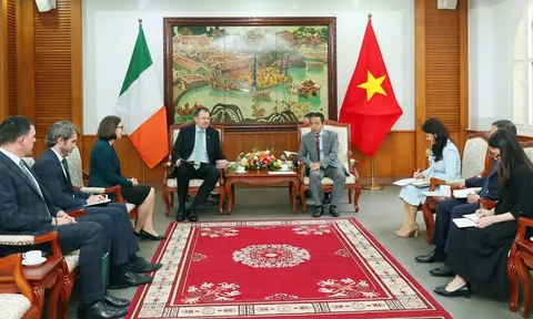 Việt Nam - Ireland tăng cường hợp tác Văn hóa, Thể thao và Du lịch