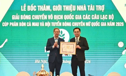 16 đội bóng tranh tài tại Giải Bóng chuyền vô địch quốc gia 2026
