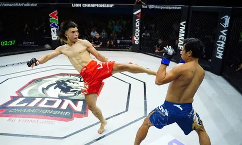 Hơn 300 vận động viên tranh tài tại Giải vô địch các Câu lạc bộ Võ thuật Tổng hợp quốc gia năm 2026