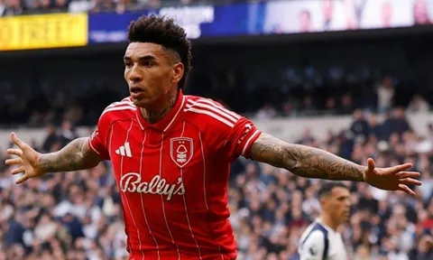 Thua thảm, Tottenham đối diện nguy cơ xuống hạng