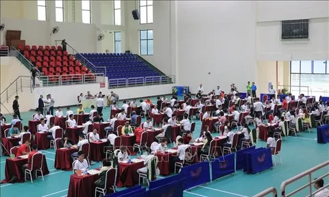 Khởi tranh Giải cờ Tướng vô địch quốc gia 2026