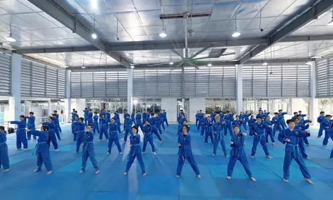 Tinh thần Vovinam: Giá trị không chỉ nằm ở đòn thế