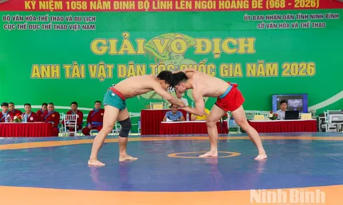 Gần 100 vận động viên tranh tài Giải vô địch Anh tài Vật quốc gia năm 2026