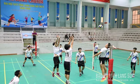 Giải Bóng chuyền Đại hội Thể dục thể thao tỉnh Lạng Sơn lần thứ X