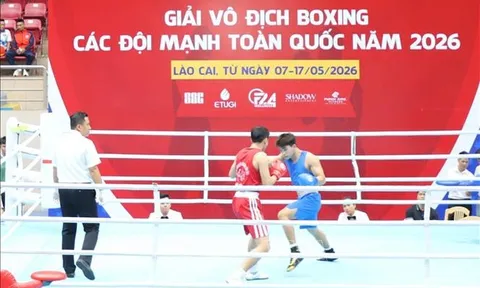 Giải vô địch Boxing các đội mạnh toàn quốc 2026: 312 vận động viên tham gia tranh tài