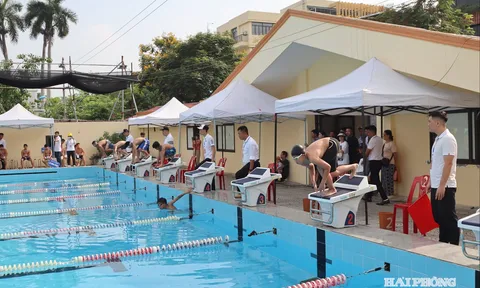 Gần 1.300 vận động viên tranh tài Giải Bơi học sinh thành phố Hải Phòng