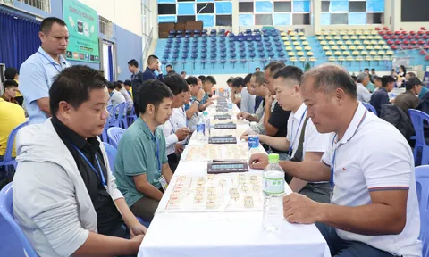 Giải cờ Tướng Đại hội Thể dục thể thao tỉnh Lâm Đồng lần thứ I