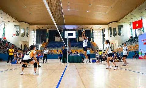 Giải Bóng chuyền nữ Đại hội Thể dục thể thao tỉnh Hà Tĩnh lần thứ X