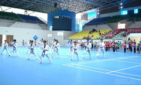 Lào Cai tổ chức các hoạt động thể thao hè năm 2026