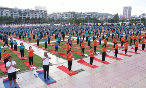 Quảng Ninh tổ chức Ngày Quốc tế Yoga năm 2026 với sự tham gia của hơn 3.000 người