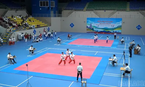 Giải vô địch Taekwondo tỉnh Lào Cai năm 2026