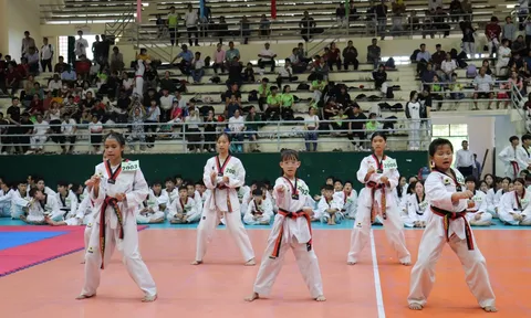 Tỉnh Tây Ninh tổ chức kỳ thi thăng đẳng Taekwondo lần thứ 1 