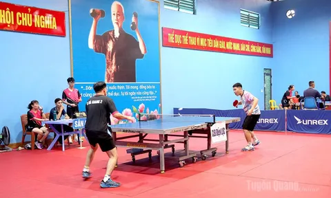 Giải Bóng bàn tỉnh Tuyên Quang năm 2026