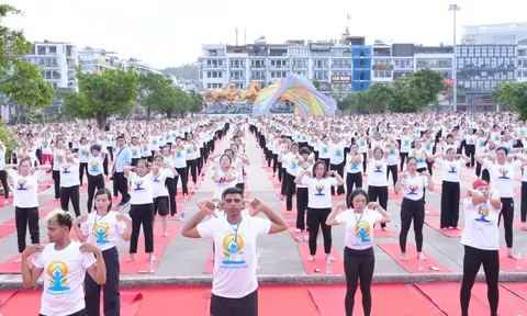 Quảng Ninh: Hơn 3.000 người tham gia Ngày Quốc tế Yoga  năm 2026 