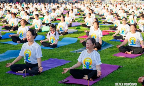 Hải Phòng gần 800 hội viên tham gia Ngày Quốc tế Yoga 2026 