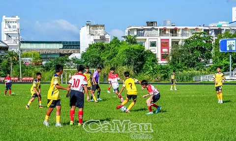Giải Bóng đá Thiếu niên, Nhi đồng tỉnh Cà Mau năm 2026