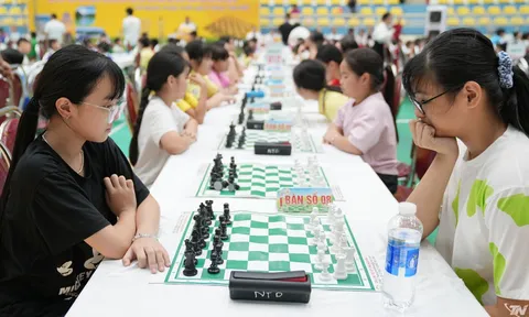 Thi đấu môn Cờ vua, Cờ tướng Đại hội Thể dục thể thao tỉnh Thái Nguyên năm 2026