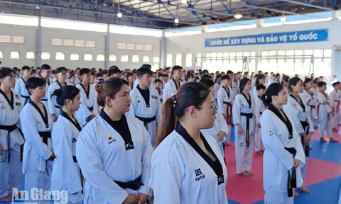 An Giang tập huấn chuyên môn Teakwondo năm 2026