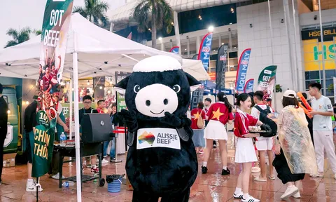Aussie Beef tiếp lửa đội tuyển Việt Nam trước bán kết ASEAN Hyundai Cup 2026