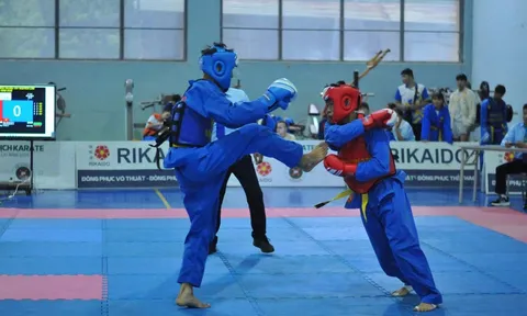 Giải vô địch Vovinam miền Trung - Tây Nguyên lần thứ IV