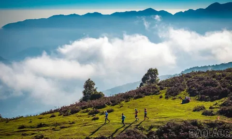 Sa Pa tích cực chuẩn bị Giải Chạy Vietnam Mountain Marathon 2026