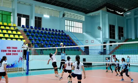 Hơn 500 vận động viên tranh tài Hội thao Cụm thi đua số 8