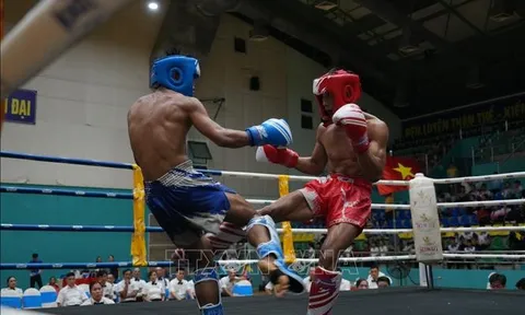 Hơn 420 vận động viên tham dự Giải vô địch Kickboxing các nhóm tuổi quốc gia 2026