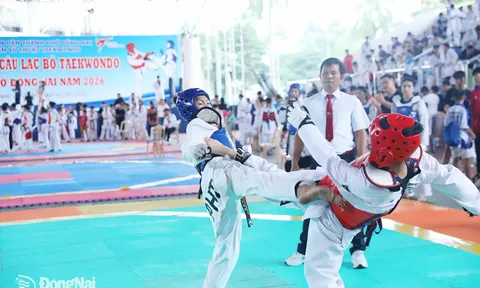 Câu lạc bộ Phước Long nhất toàn đoàn Cúp các câu lạc bộ Taekwondo thành phố Đồng Nai năm 2026