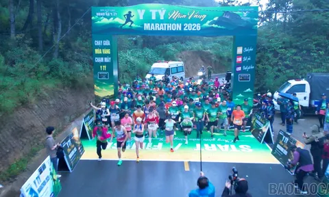 Giải chạy “Y Tý mùa vàng Marathon 2026”