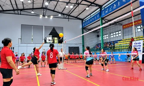 Giải Bóng chuyền hơi trung, cao tuổi tỉnh Cao Bằng năm 2026