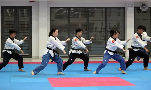 Taekwondo Việt Nam tham dự Giải vô địch Quyền thế giới 2026