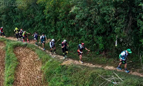 Giải chạy Mù Cang Chải Ultra Trail 2026