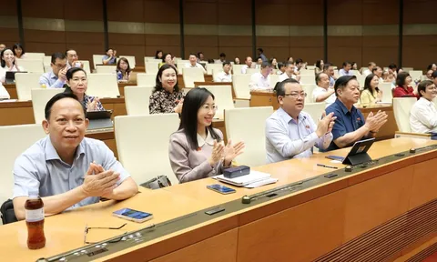 Sửa 7 luật lĩnh vực văn hóa, thông tin, thể thao, du lịch: Tháo gỡ kịp thời những khó khăn, vướng mắc trong thực tiễn