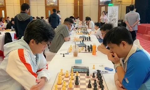312 kỳ thủ tranh tài tại Giải vô địch cờ Vua, cờ Vây quốc gia năm 2026