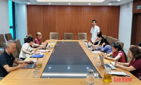 Cao Bằng đánh giá kết quả thực hiện Dự án Bóng đá Cộng đồng giai đoạn 2025-2026
