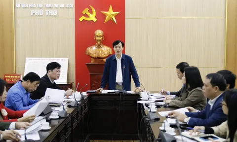 Ban Tổ chức địa phương và VFF triển khai công tác tổ chức Vòng loại giải Bóng đá nữ U20 châu Á 2024