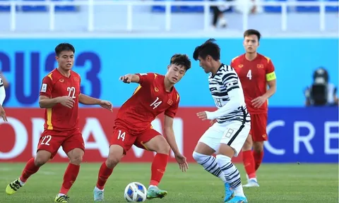 Tân huấn luyện viên Troussier triệu tập nhiều cầu thủ trẻ Hà Nội lên U23 Việt Nam