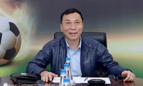 Bóng đá Đông Nam Á cần cải thiện để các đội tuyển vươn tầm thế giới