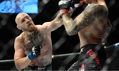 Liên đoàn MMA Việt Nam chính thức gia nhập IMMAF