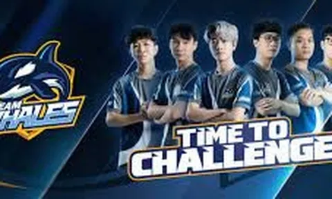 Team Whales được “thưởng nóng” sau khi đánh bại SBTC Esports
