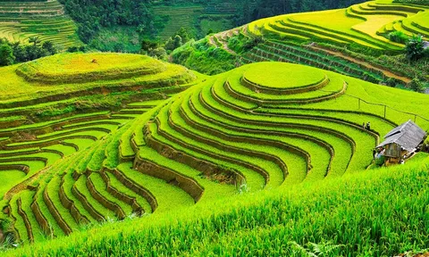 Ra mắt chuyên trang quảng bá du lịch nông thôn