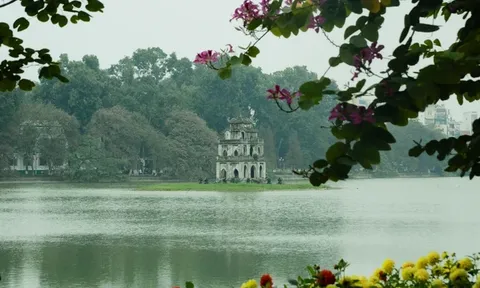 Tổ chức Đợt phim Kỷ niệm 94 năm Ngày thành lập Đảng Cộng sản Việt Nam và mừng Xuân Giáp Thìn 2024