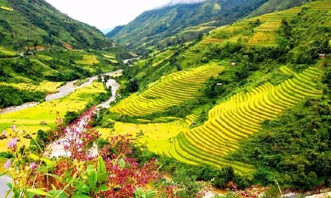 Xây dựng Festival sông Hồng thành thương hiệu riêng của tỉnh Lào Cai