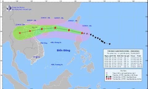 Ứng phó với siêu bão Ragasa: Bảo đảm an toàn đối với khách du lịch và các hoạt động du lịch