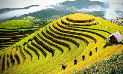 Yên Bái: Triển khai các giải pháp phát triển du lịch thích ứng an toàn, linh hoạt, kiểm soát hiệu quả dịch COVID-19