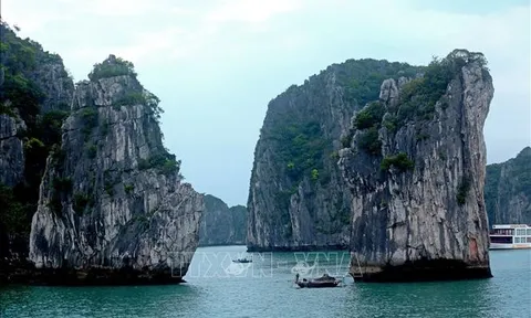 Miễn phí tham quan du lịch với vận động viên tham dự SEA Games 31 ở Quảng Ninh