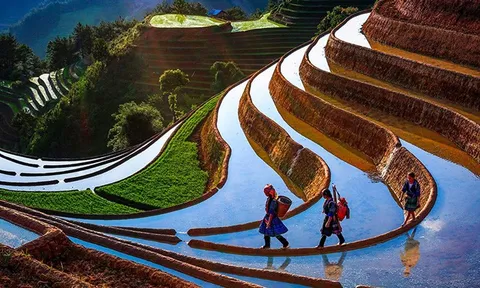 Du lịch Mù Cang Chải “mùa nước đổ” 