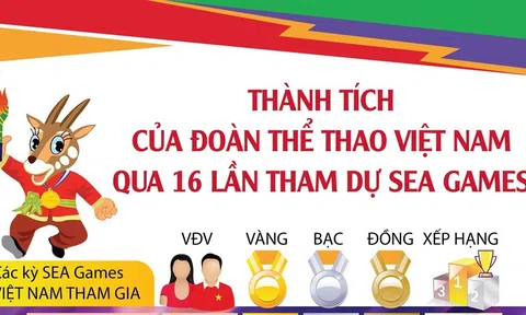 Thành tích của Đoàn Thể thao Việt Nam qua 16 lần tham dự SEA Games